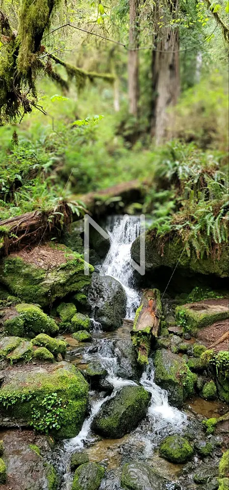 Image 124
