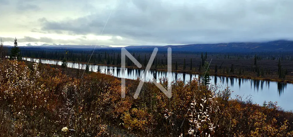 Almost Winter