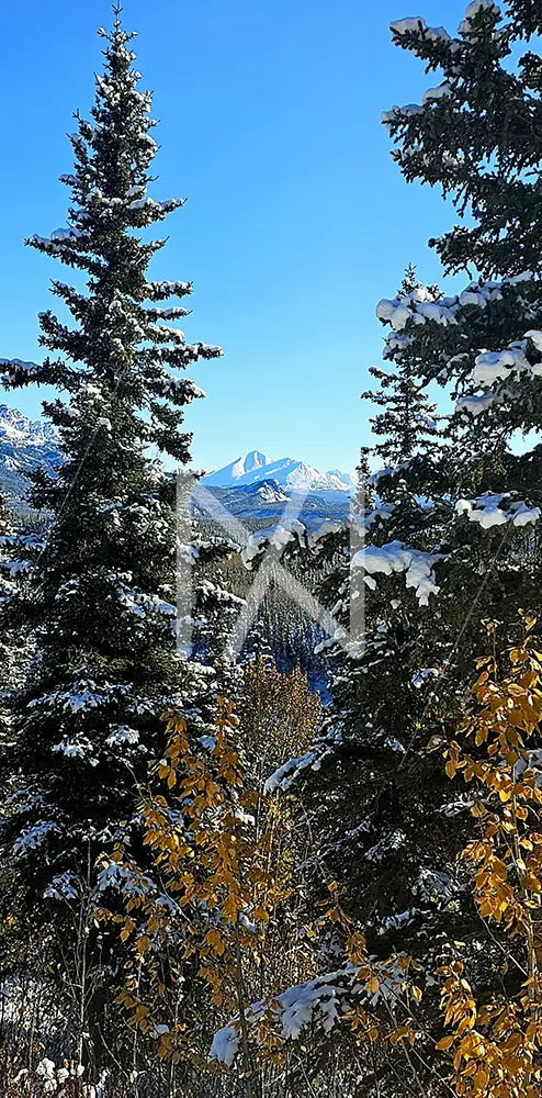 Sunny Ridge