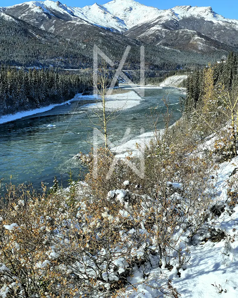 Beautiful Denali