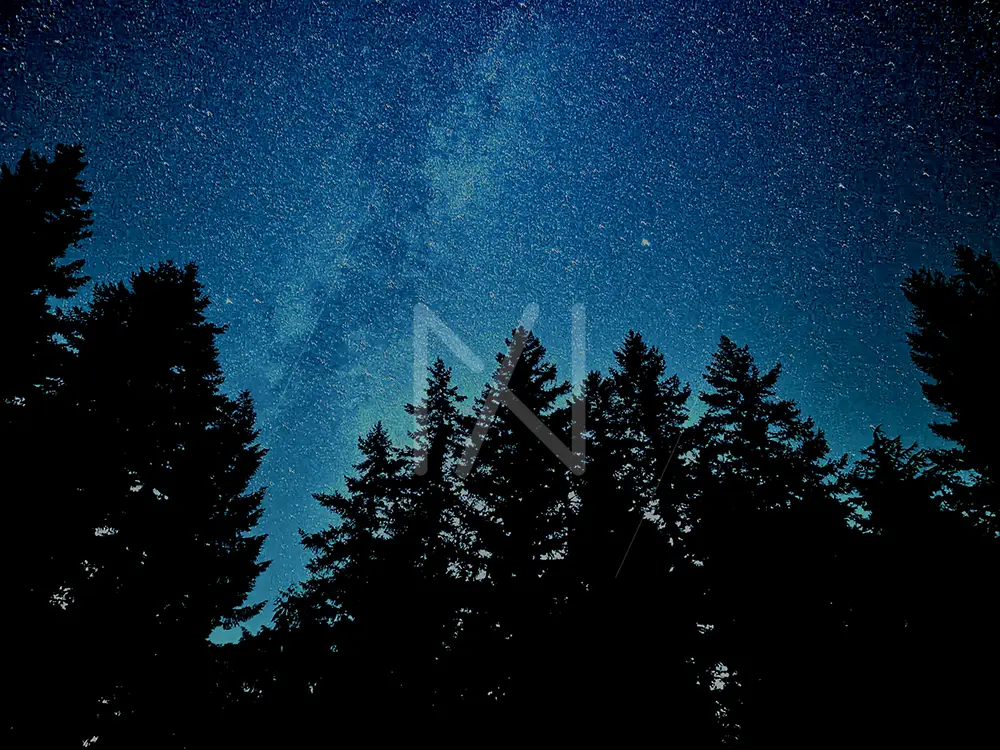 Starry Night