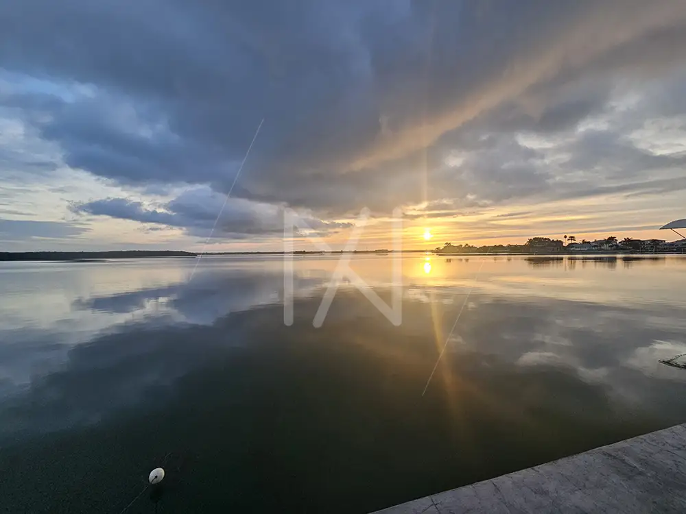 A New Dawn