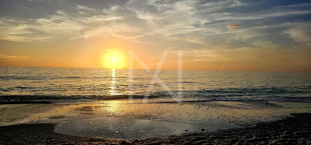 Wish You Were Here